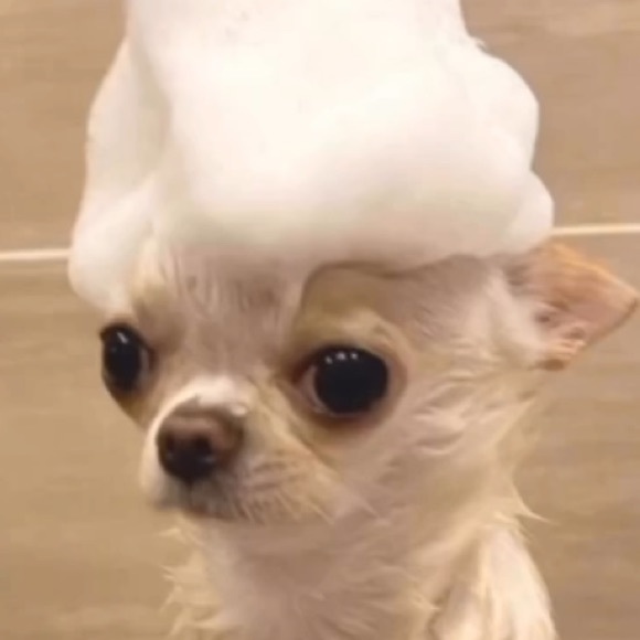 hemlockgrove18